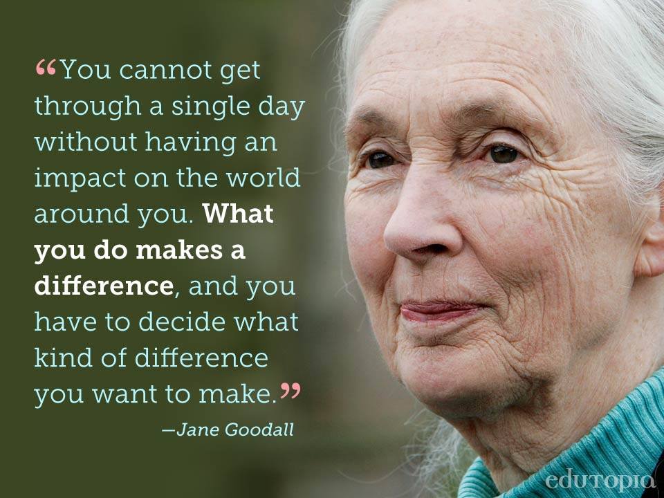 Poetry Friday Happy BirtHDay Jane Goodall A Teaching Life