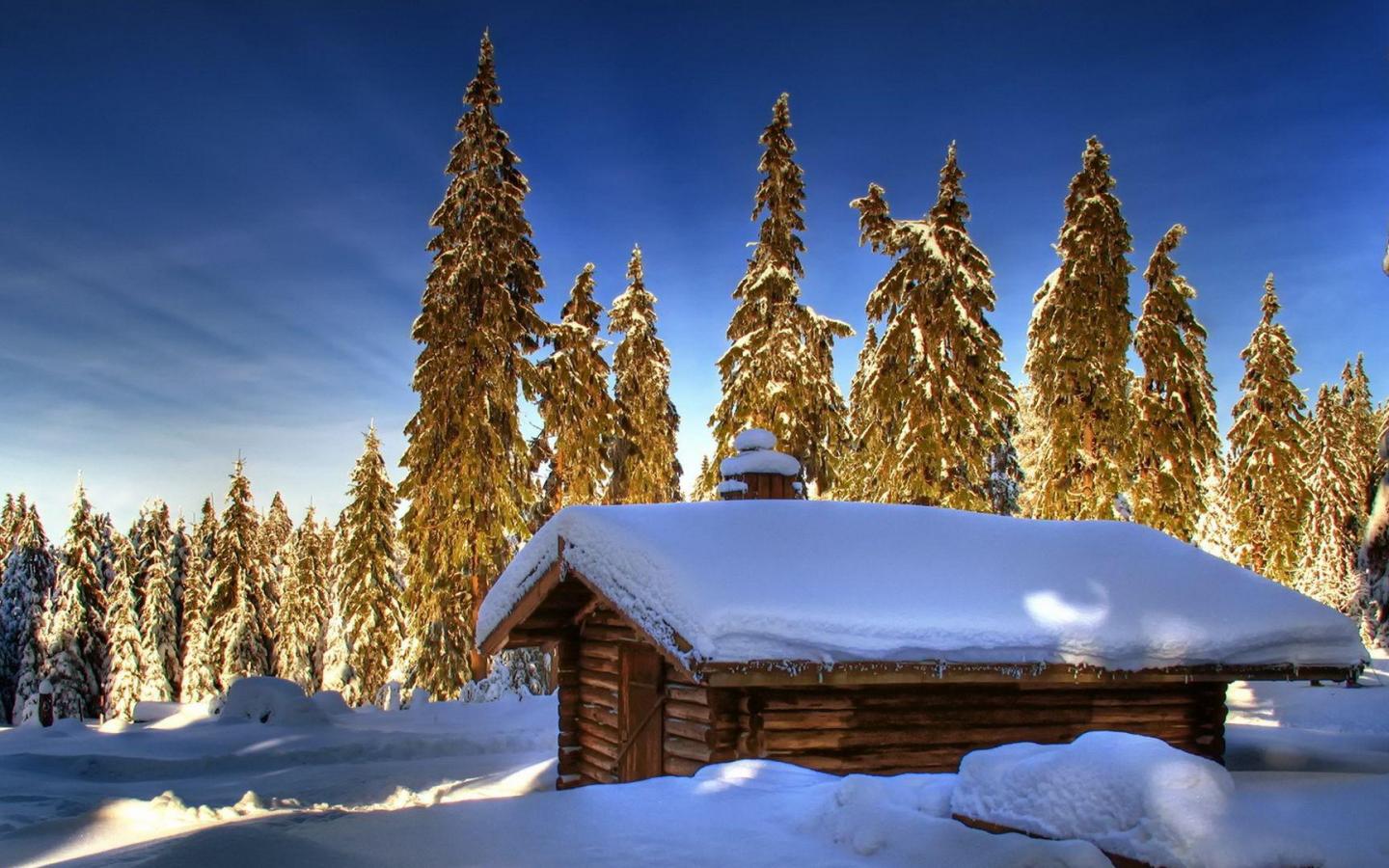 Lovely Log Cabin In Winter High Quality And Resolution