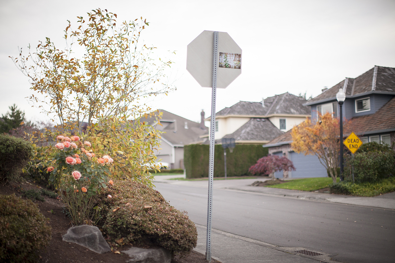 Free download photography street art installation portland oregon