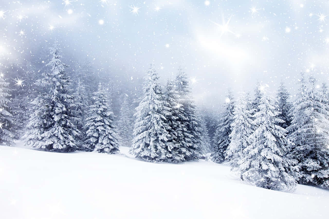 Winter Snow Desktop Wallpaper