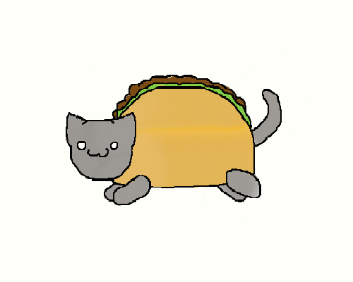 Here Es The Taco Cat Gif By Cherryblossomey