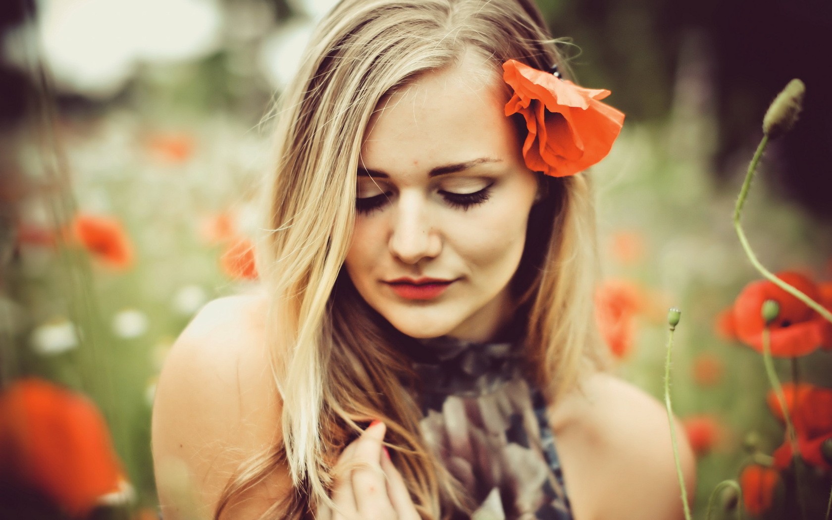 Blonde Girl With Poppy Flower Desktop Pc And Mac