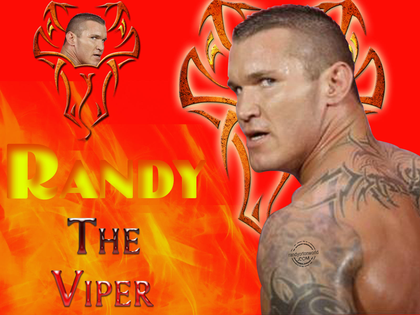 Randy Orton The Viper Wallpaper Wwe