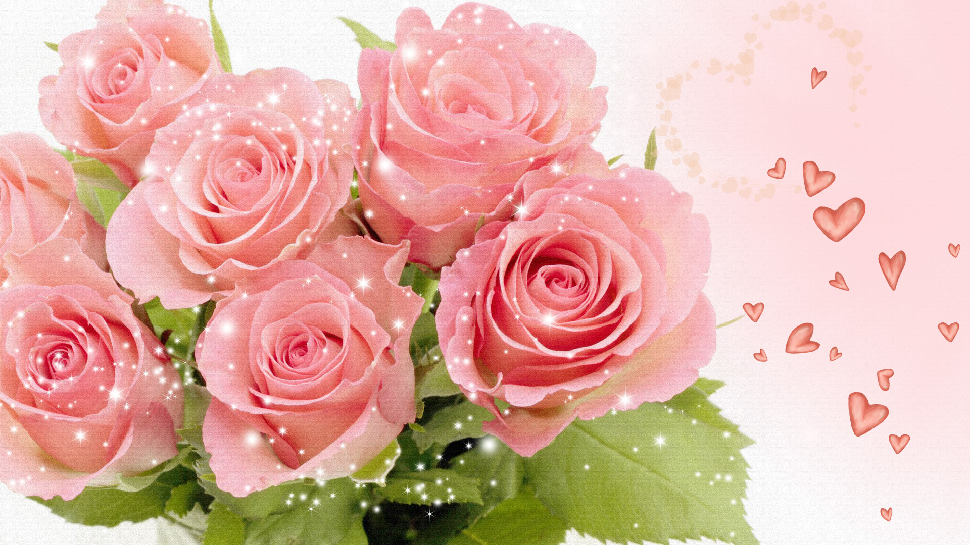 Pink Roses Wallpaper Related Keywords amp Suggestions   Pink