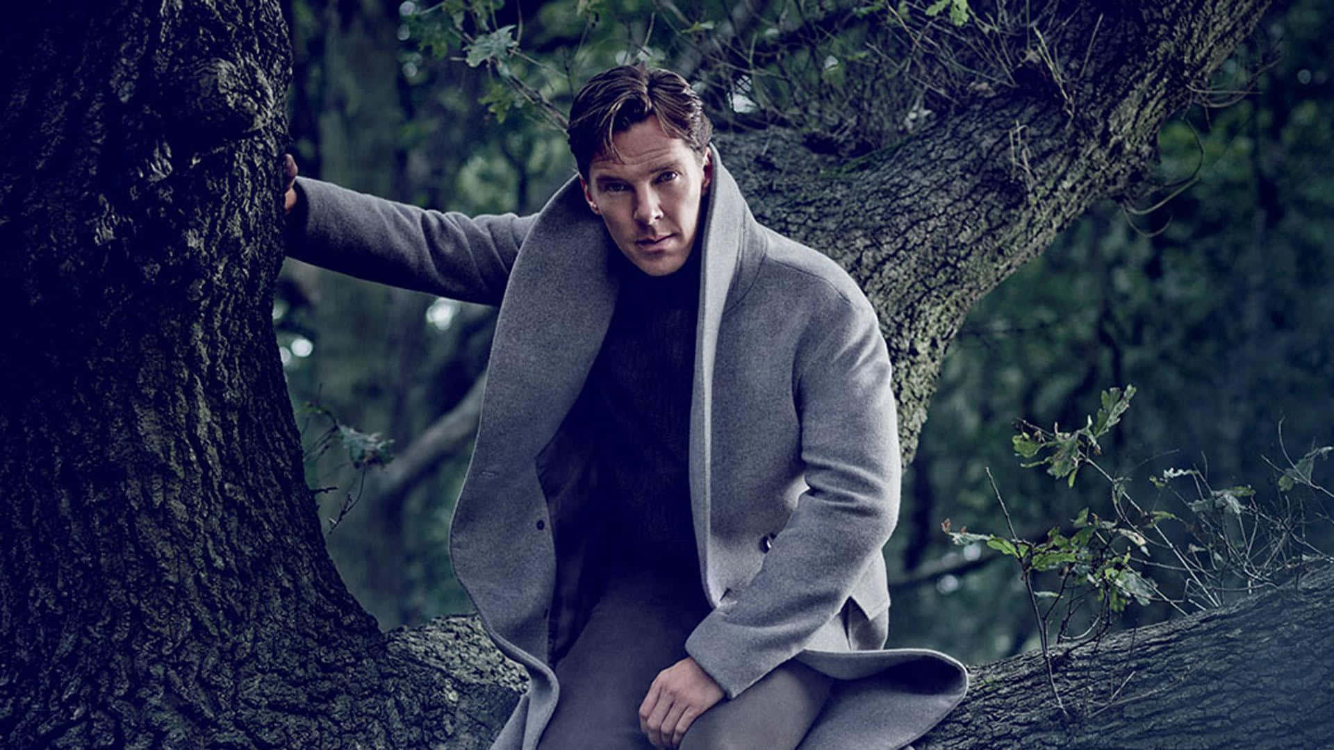 Benedict Cumberbatch Background Wallpaper
