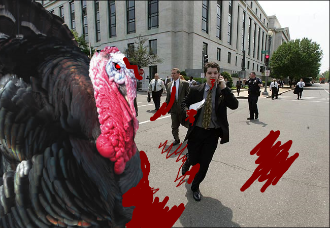 Zombie Turkey Graphics Code Ments Pictures