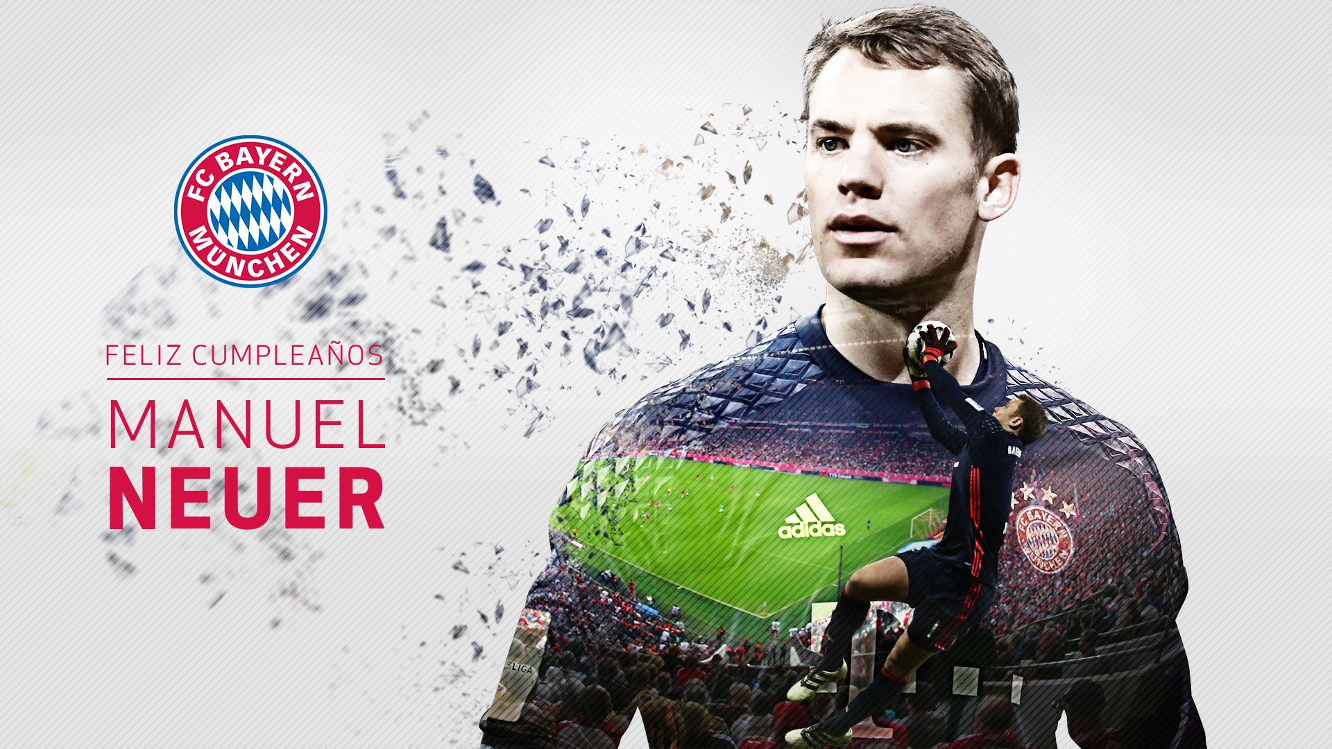 Manuel Neuer Germany Goalkeeper 1080p Widescreen HD Pictures