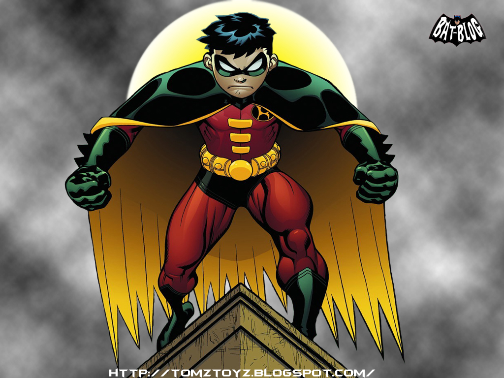 Robin I Thought Would Be Awesome For Pc Wallpaper But You Can Also Use