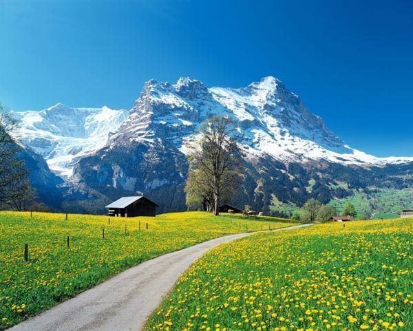 Snowy Mountaint Spring 3d Full Wall Mural Large Print Wallpaper Home