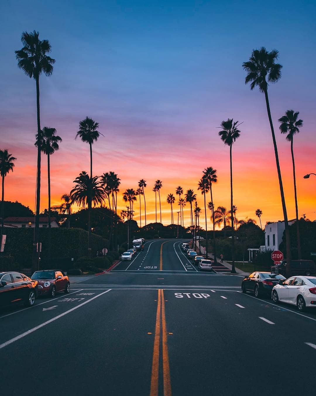 Photo B Wallpaper