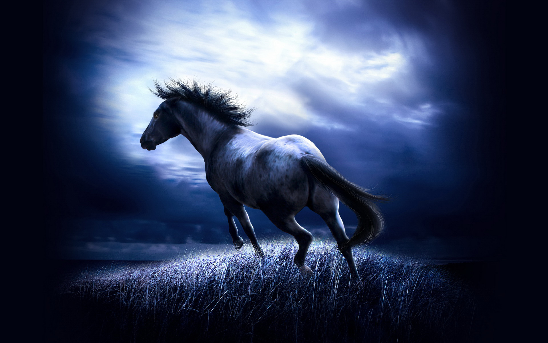 Live Horse Wallpaper Which Is Under The