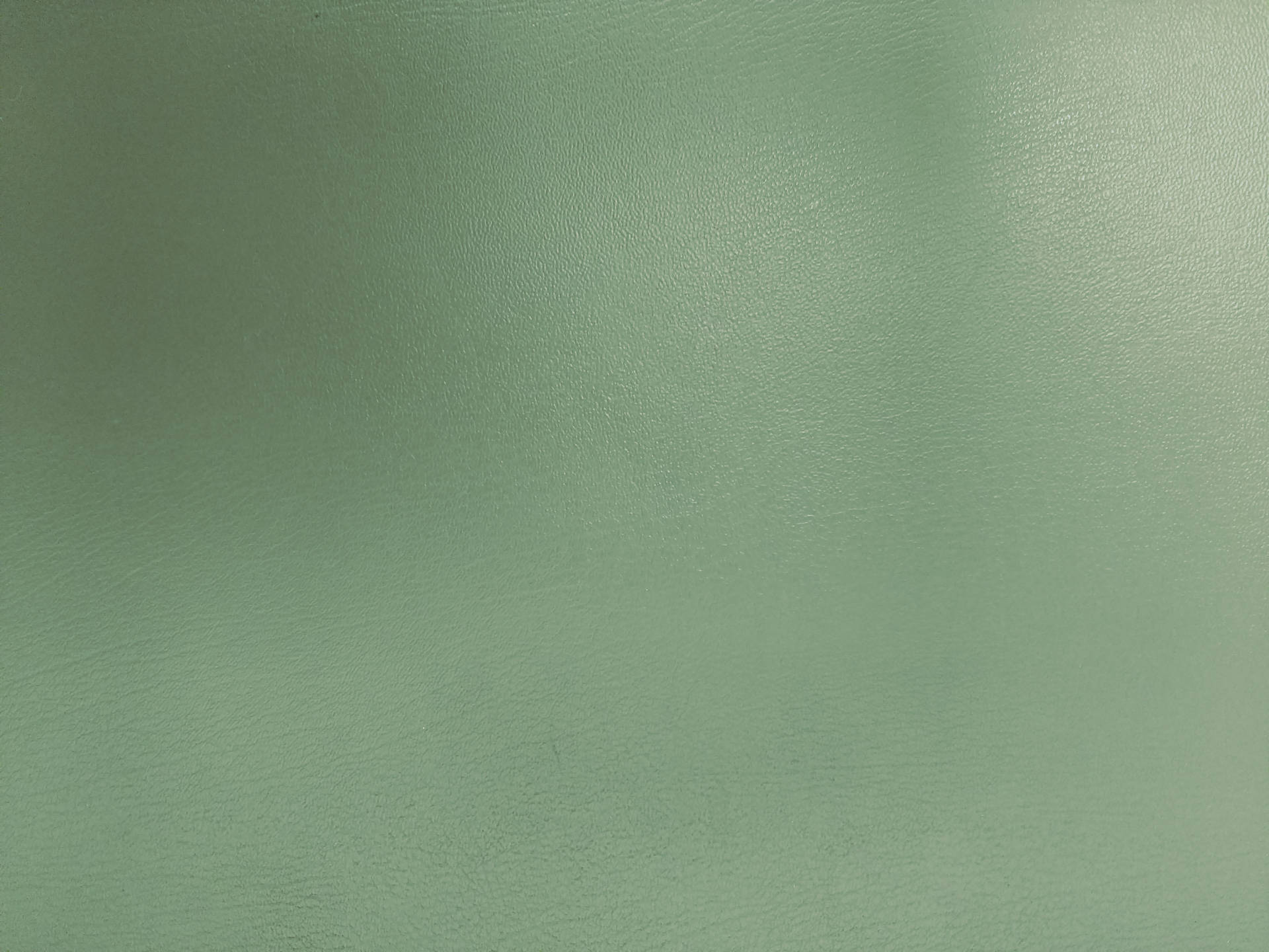 Sage Green Wallpaper
