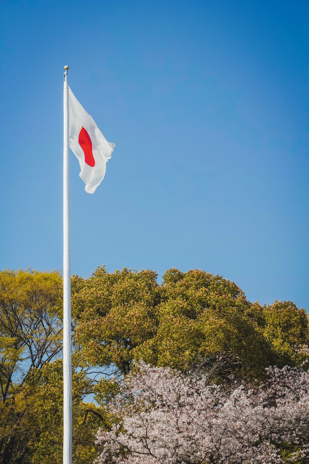 Japan Flag Pictures Download Free Images on