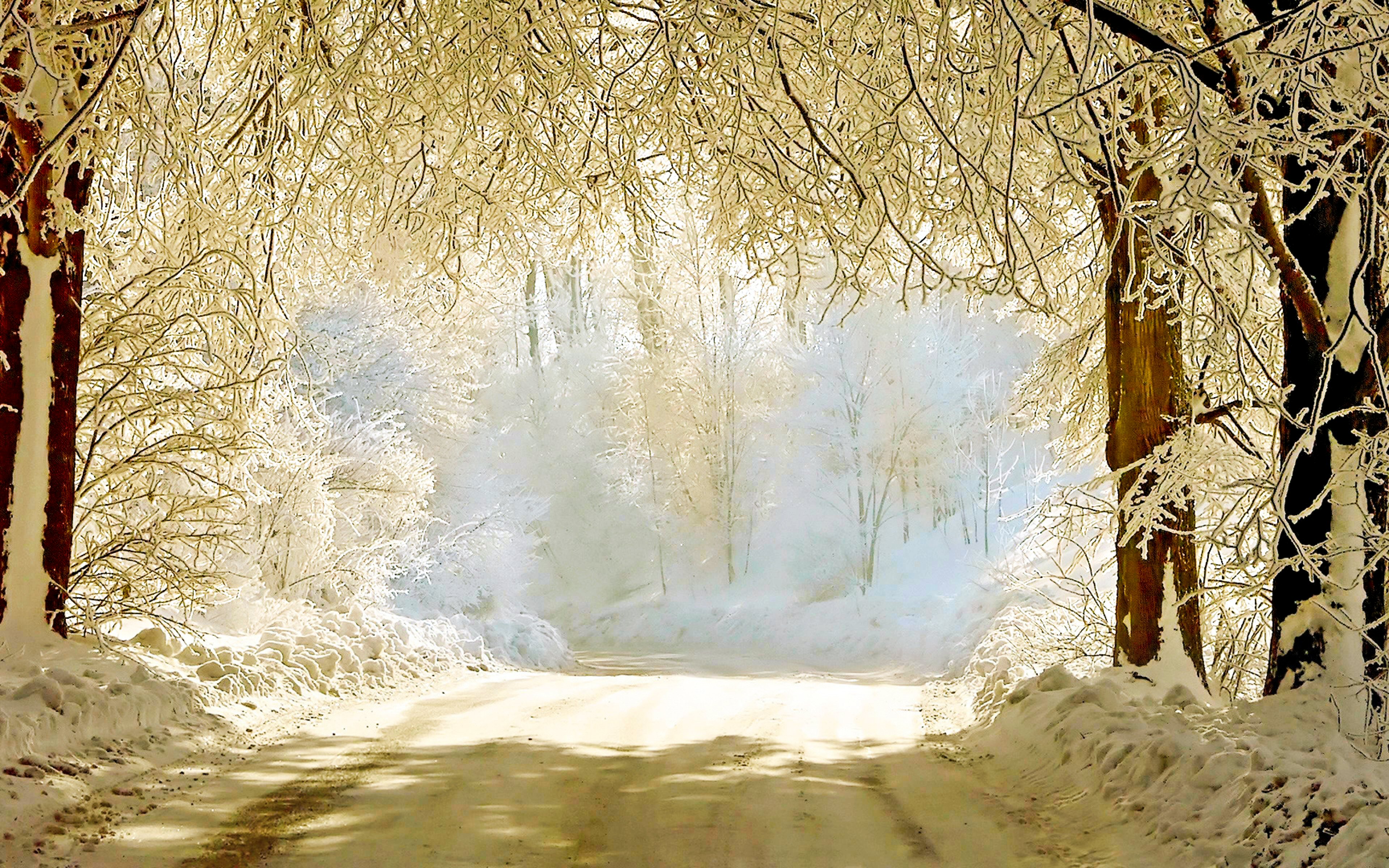 A snow-covered path winds through a frosted forest, bathed in the warm glow of winter sunlight