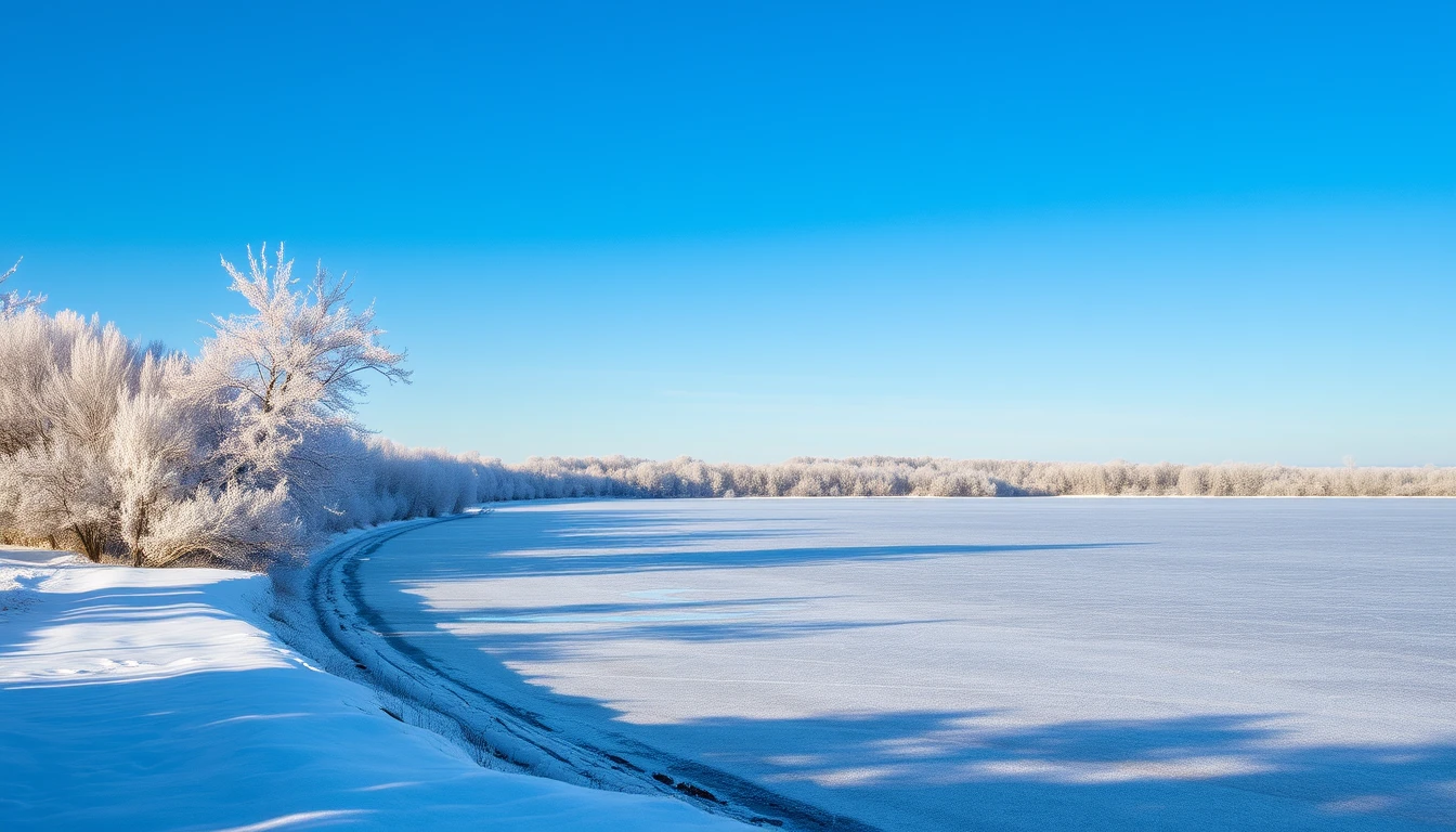 Frozen Background