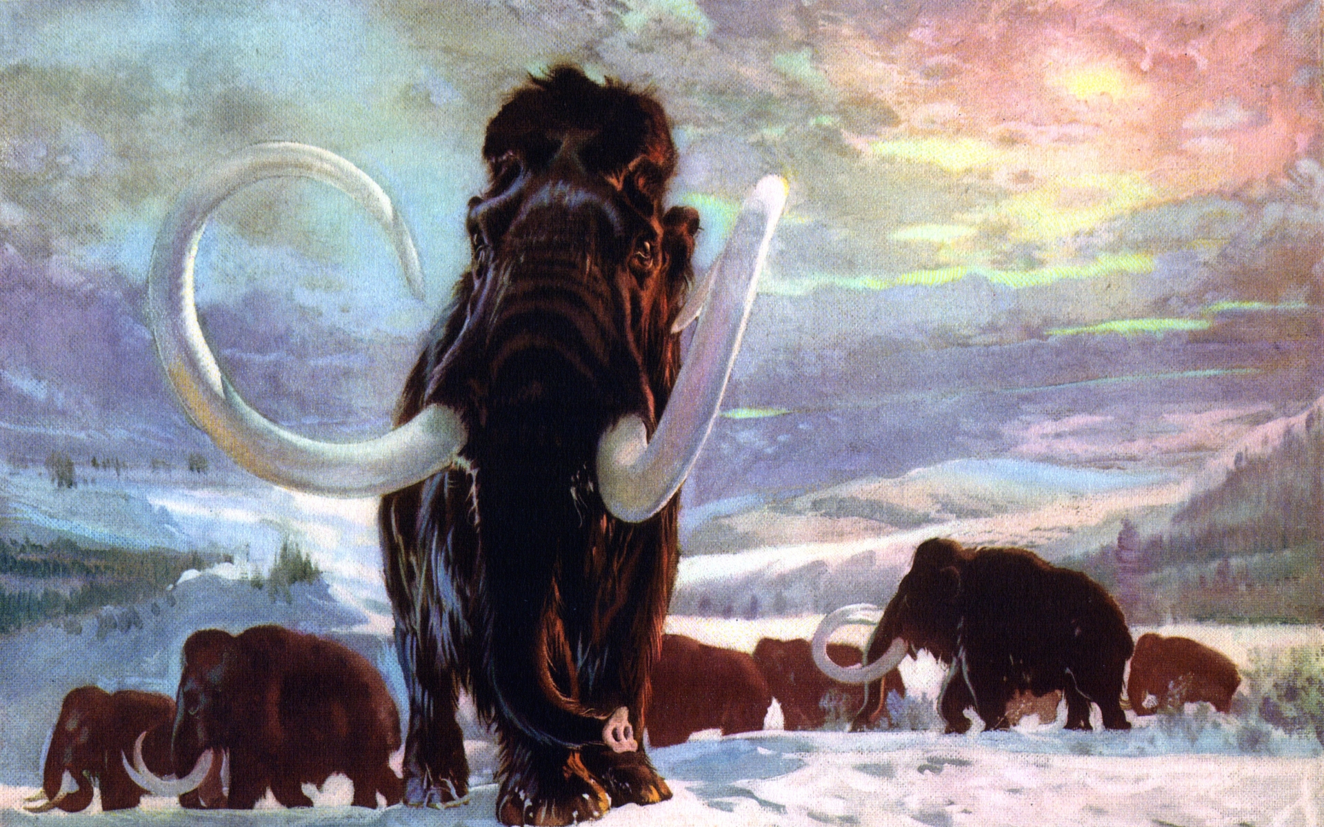 Mammoth Prehistoric Zdenek Burian Wallpaper Art HD