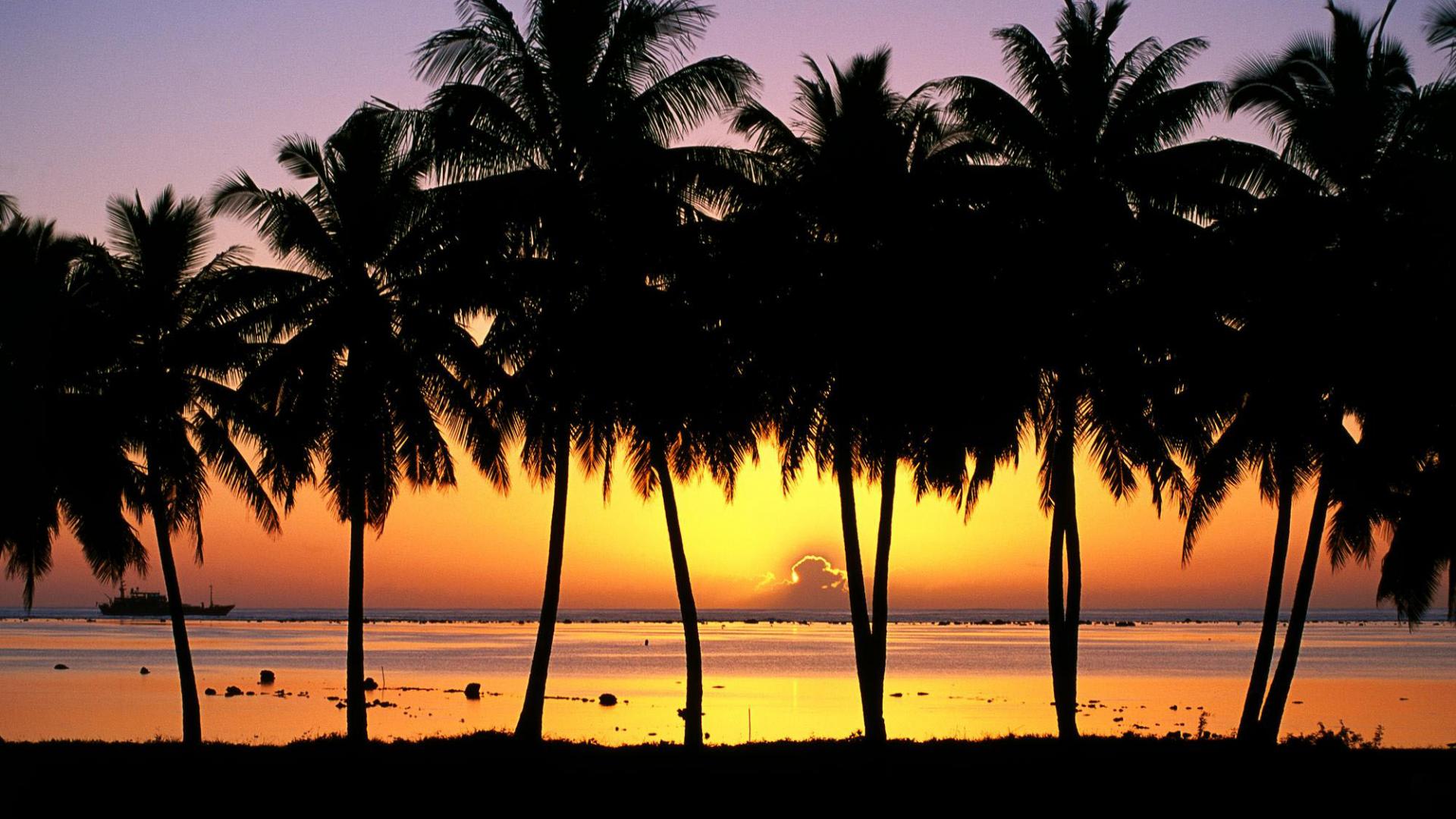 Wallpaper Palm Trees At Sunset Cook Islands X