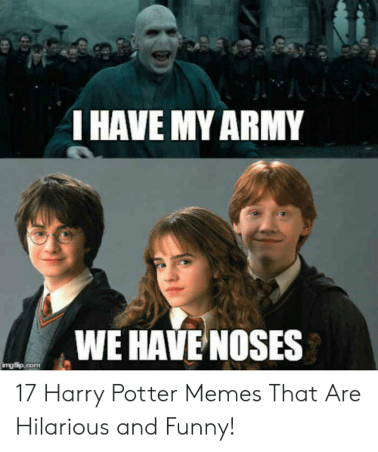 Harry Potter Memes Fandom