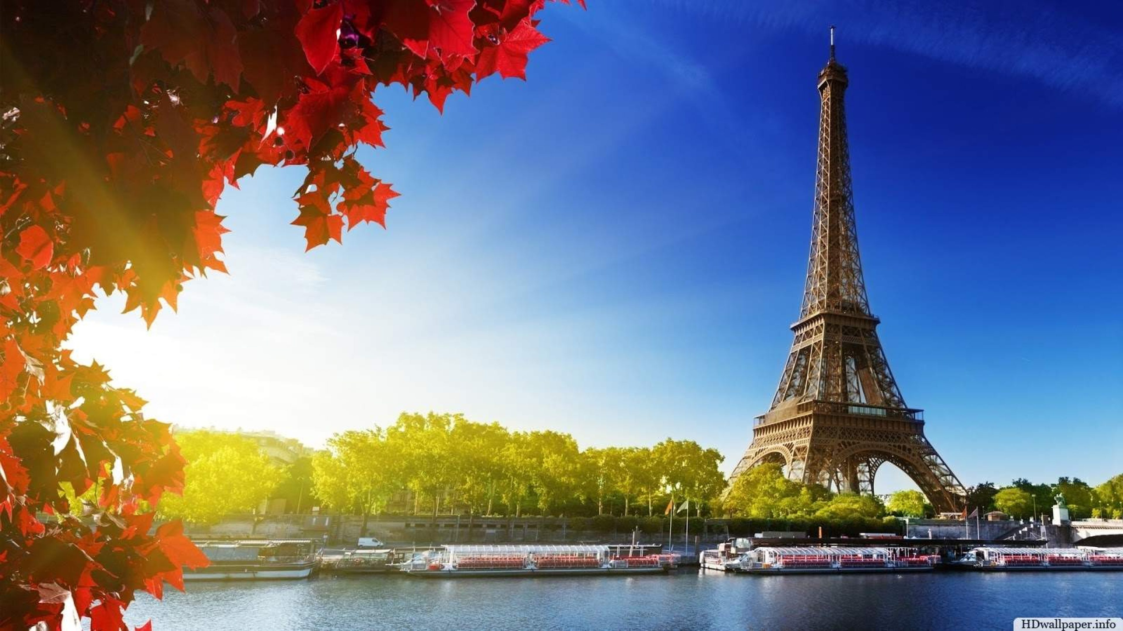 30 Eiffel Tower 4K Wallpapers WallpaperSafari 30 Eiffel Tower 4K Wallpapers WallpaperSafari