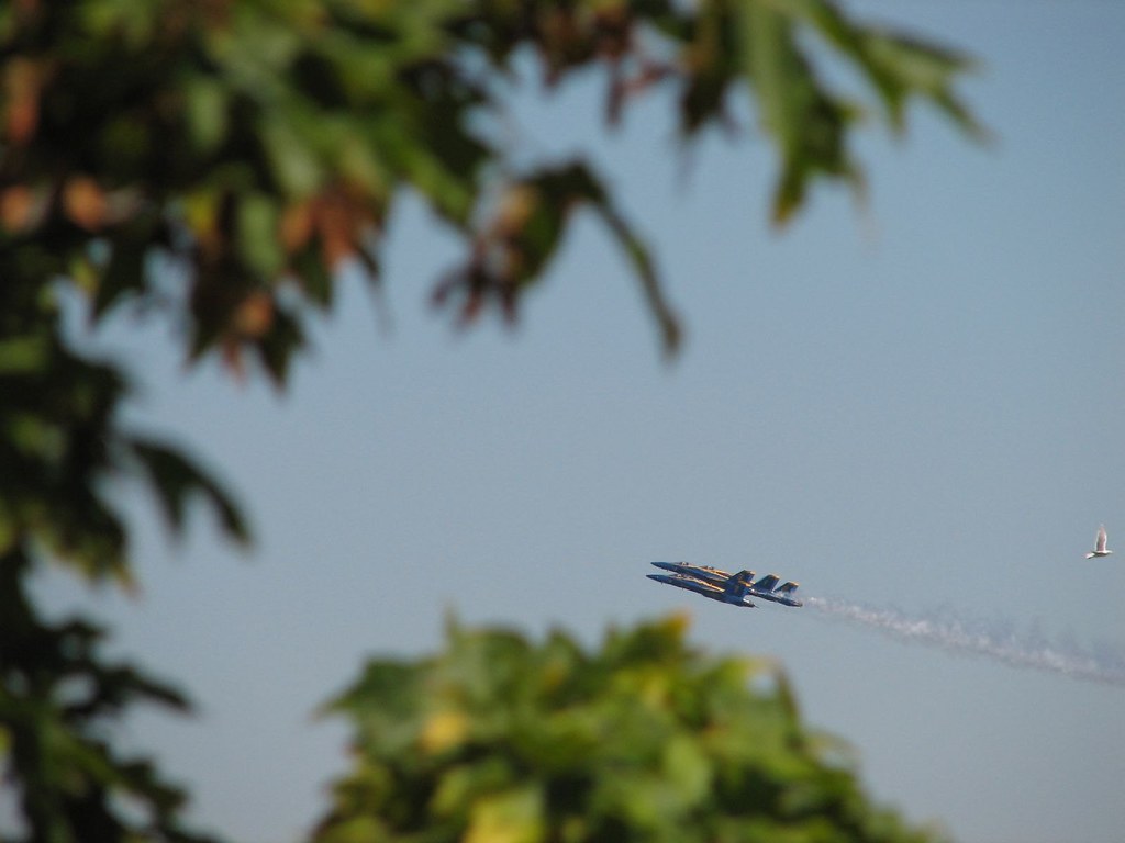 The World S Best Photos Of Blueangels And Wallpaper Hive Mind