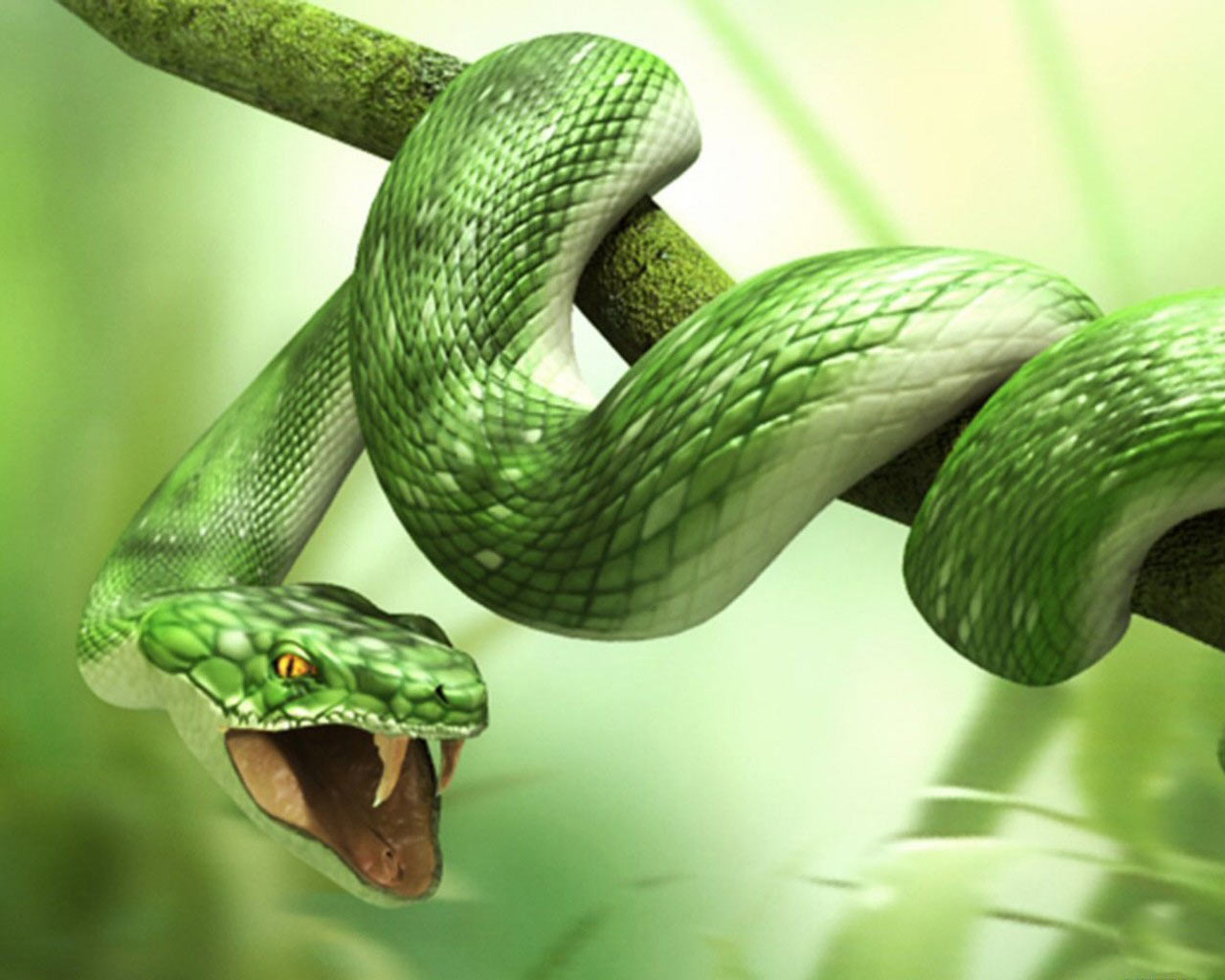 Green Viper Snake Wallpaper Which Is Under The
