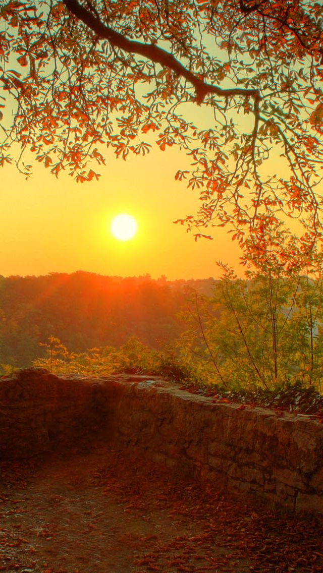 Nature Autumn Sunrise iPhone 5s Wallpaper Sunset Landscape
