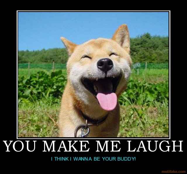 You Make Me Laugh Dog Funny