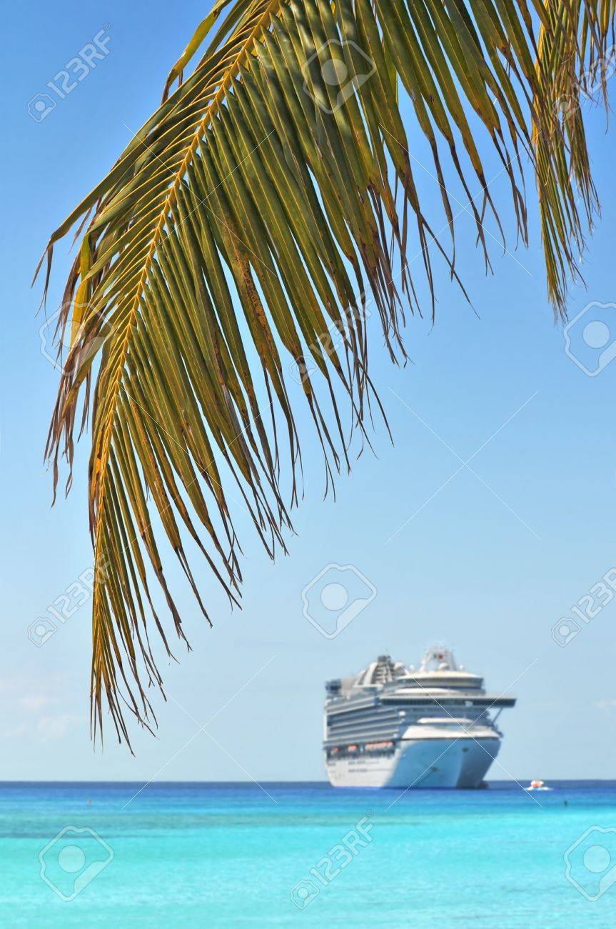 Palm Tree And Cruise Ship In Background With Selective Focus
