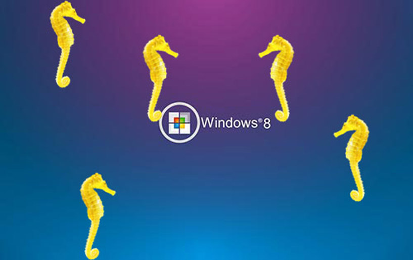 Animated Seahorse Wallpaper By Digiaquascr V