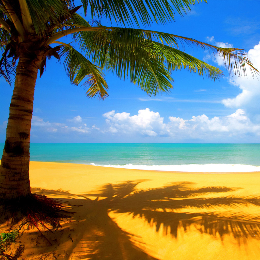 beach animated wallpaper windows 7 With Resolutions 10241024 Pixel