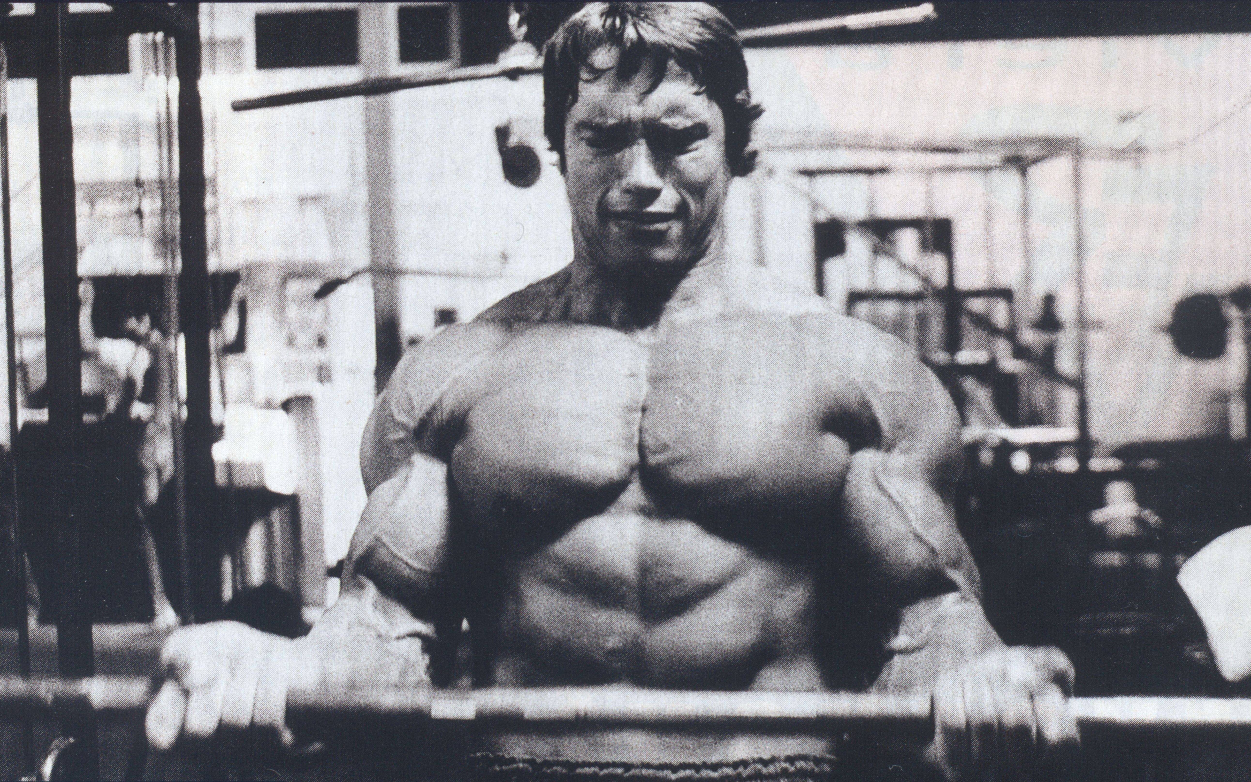 Pics Photos HD Arnold Schwarzenegger Pictures Bodybuilding