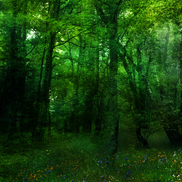 Green Forest Background By Frozenstocks