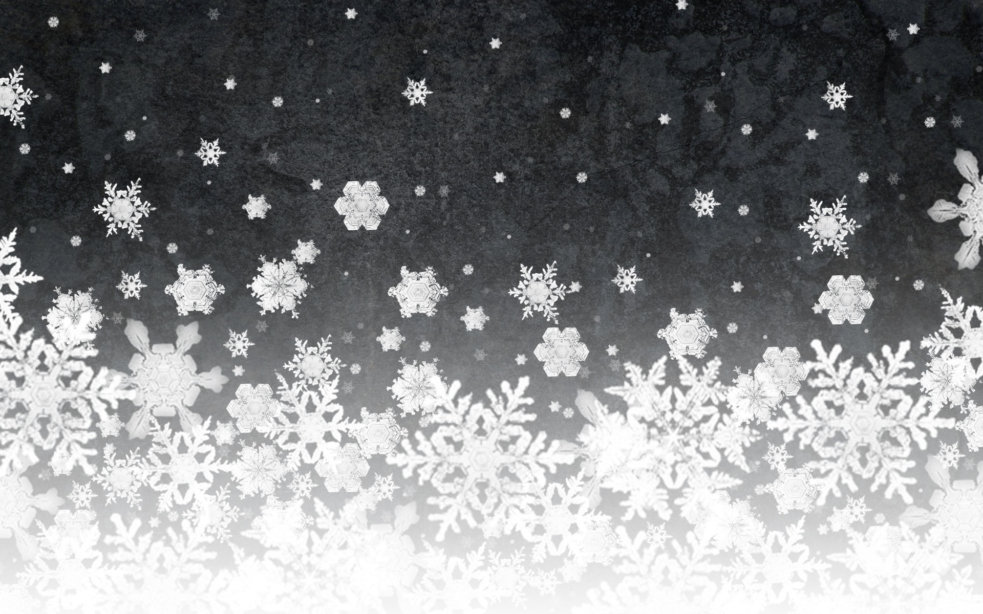 Snow Wallpaper By X1z0r