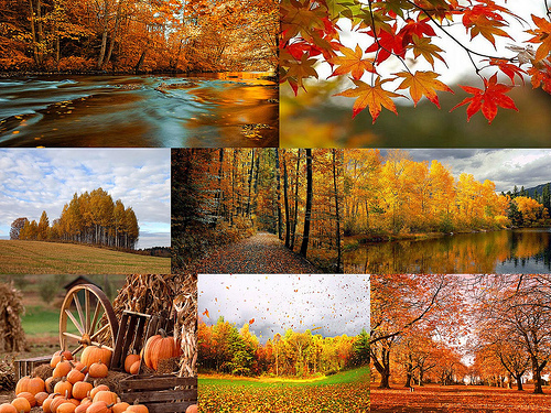 Autumn Desktop Wallpaper Photo Sharing