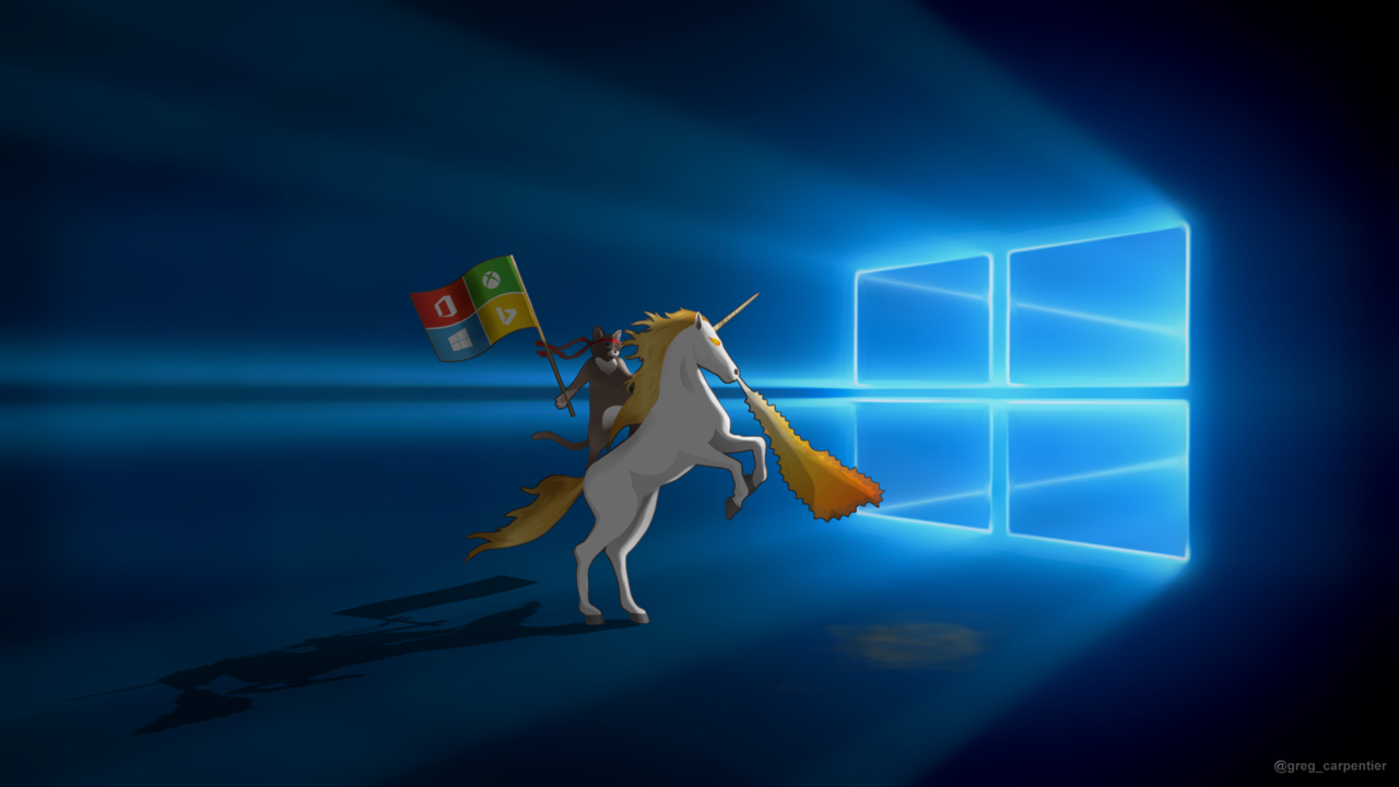 Windows Ninja Cat Unicorn Px Wide By Krokozero