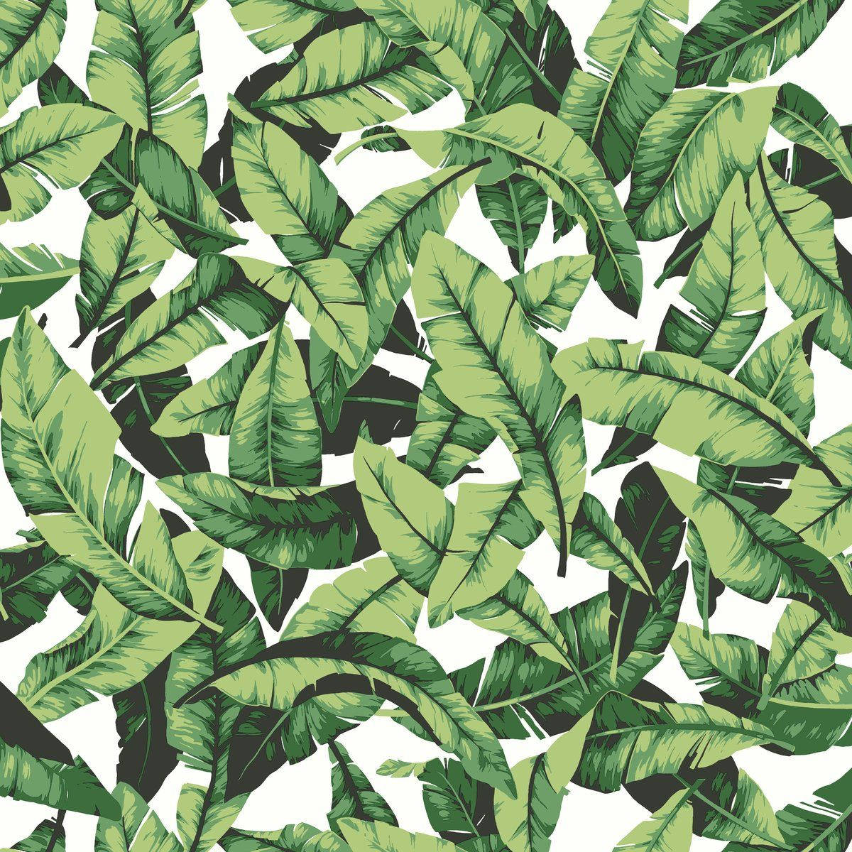 Banana Leaf Wallpaper