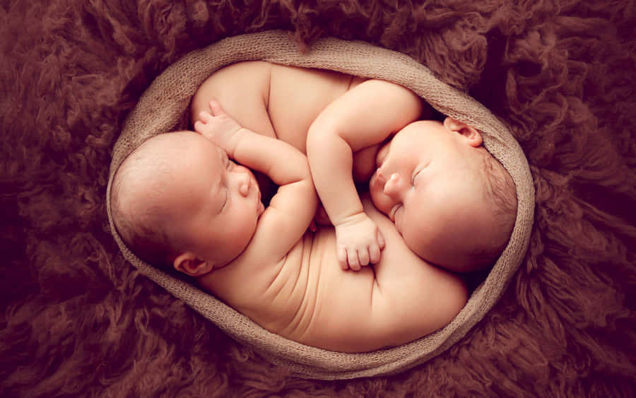 Twins Picture Wallpaper