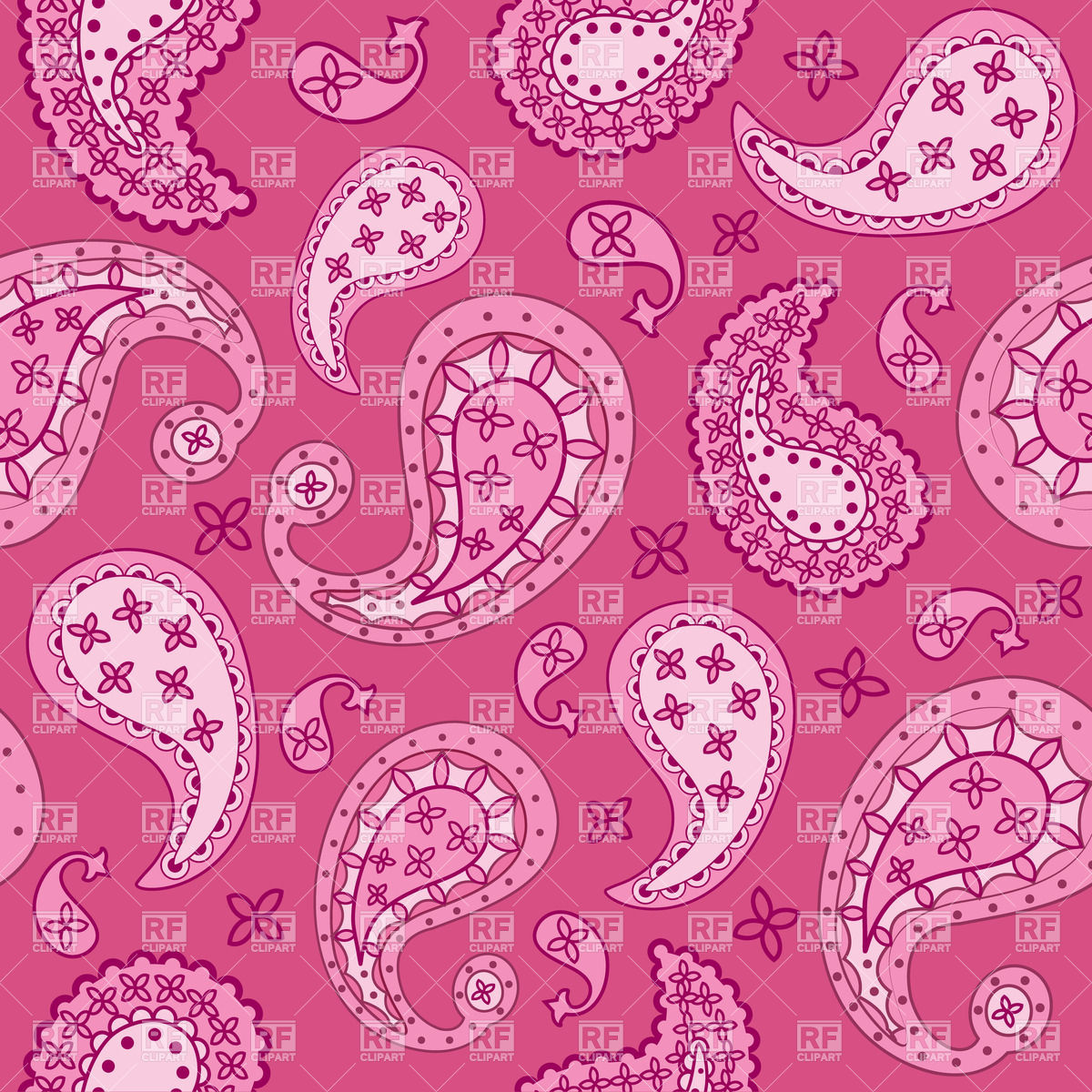 Pink Paisley Floral Pattern