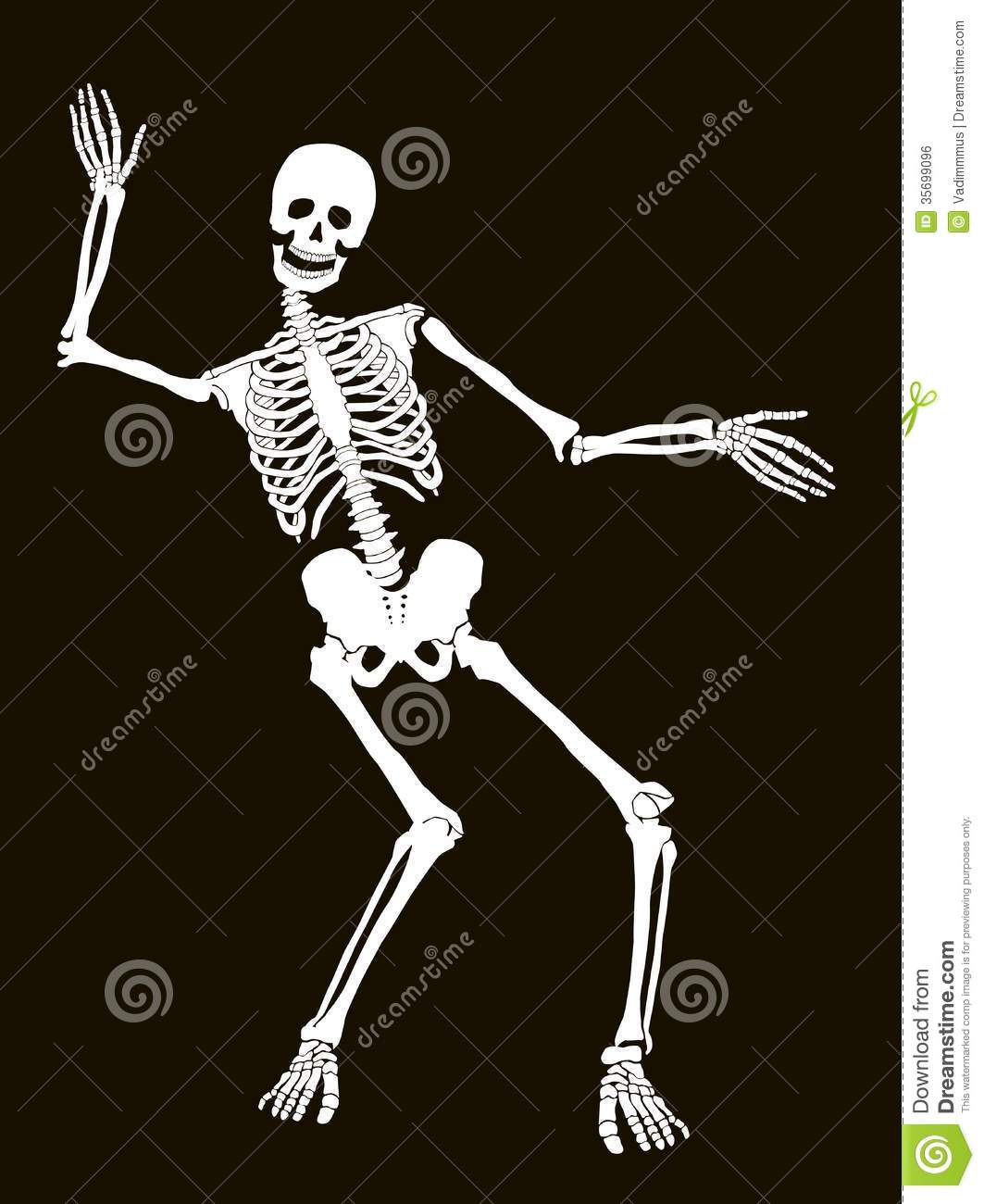 Image Funny Skeleton Face Wallpaper Pictures