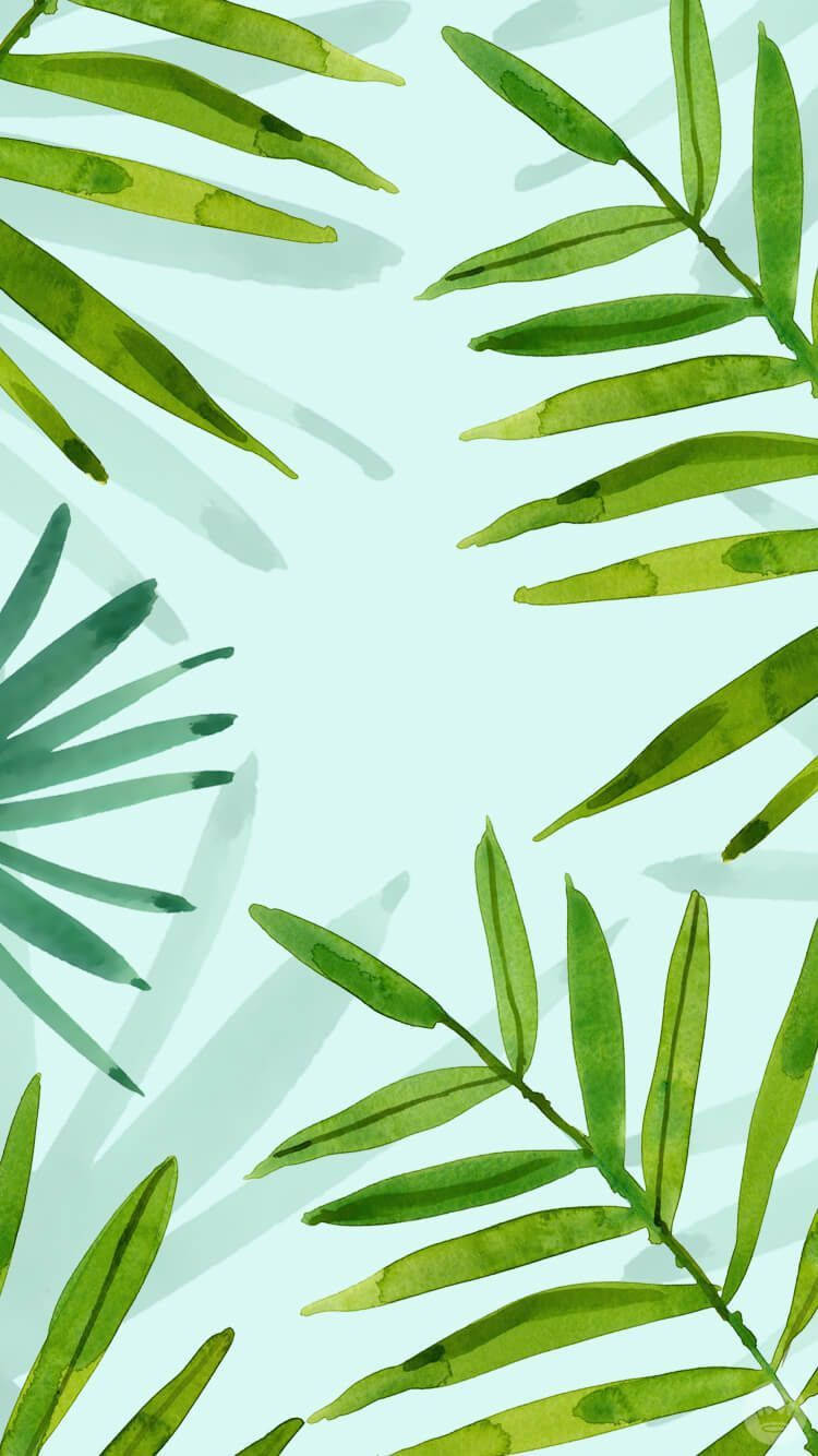 Plants iPhone Wallpaper