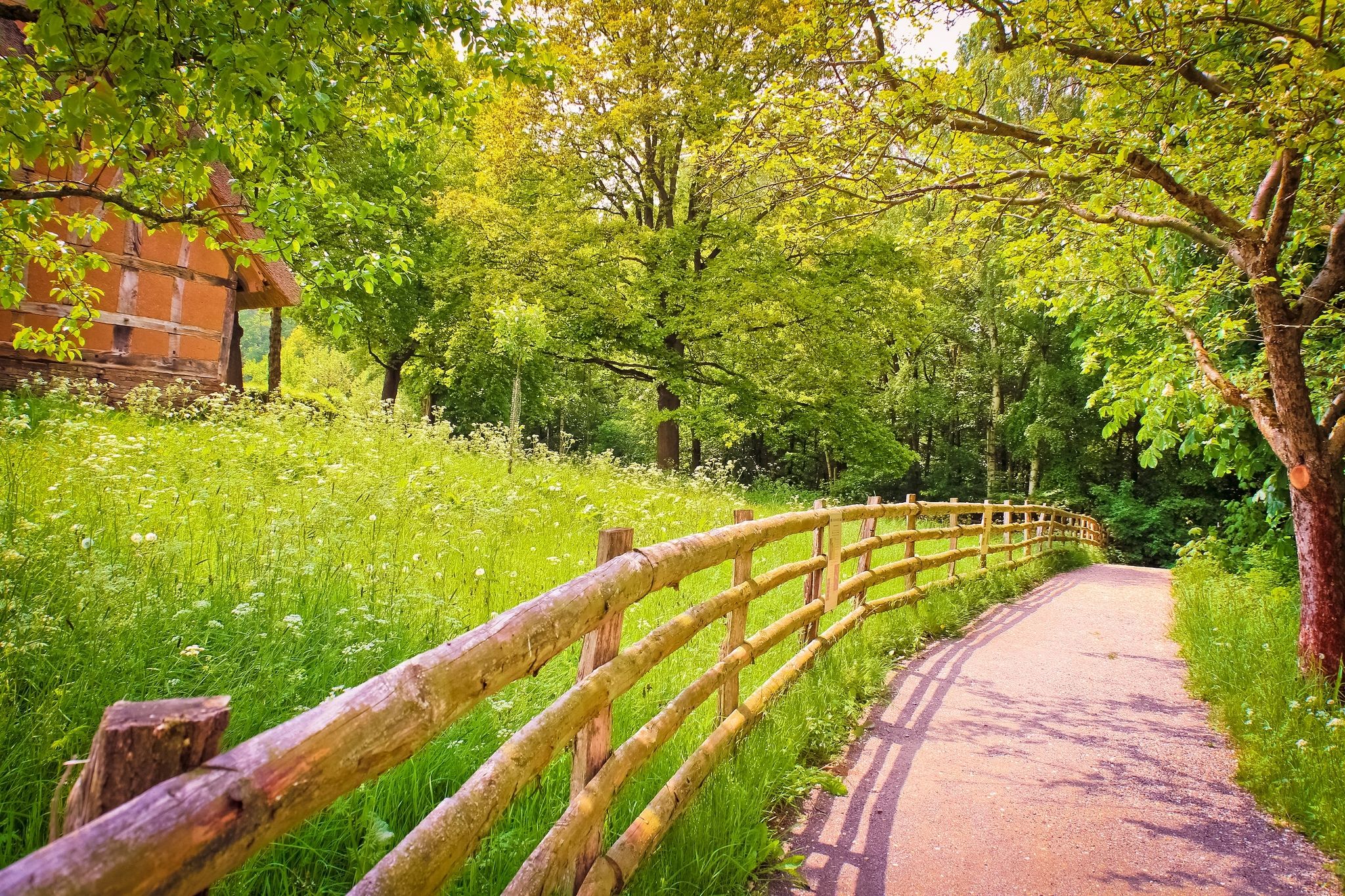 A winding path through a lush green meadow, bordered by a rustic wooden fence, leads to a charming half-timbered house nestled among trees