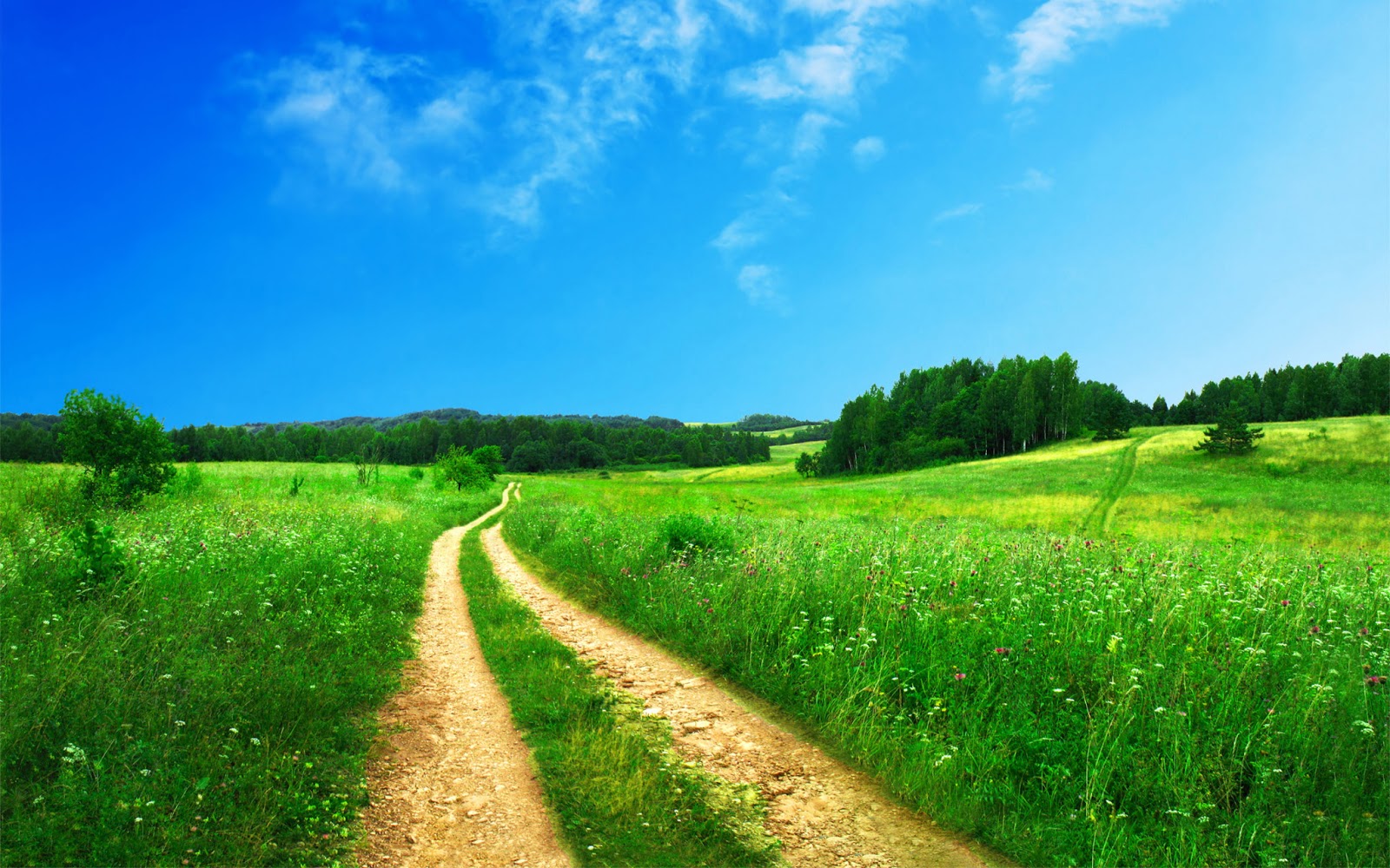 Kristel Graphics HD Green Senery Wallpaper High Quality