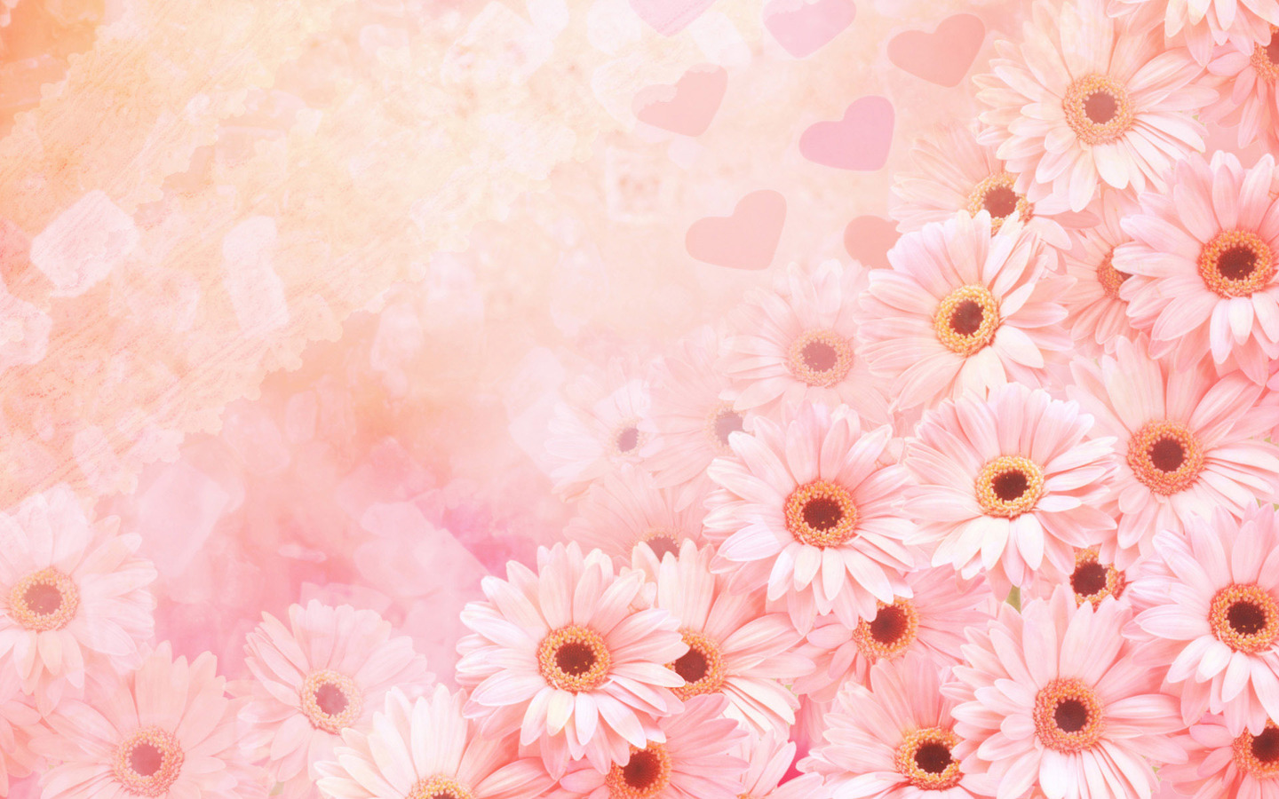 Download Pink daisies and hearts 1440x900 Wallpaper