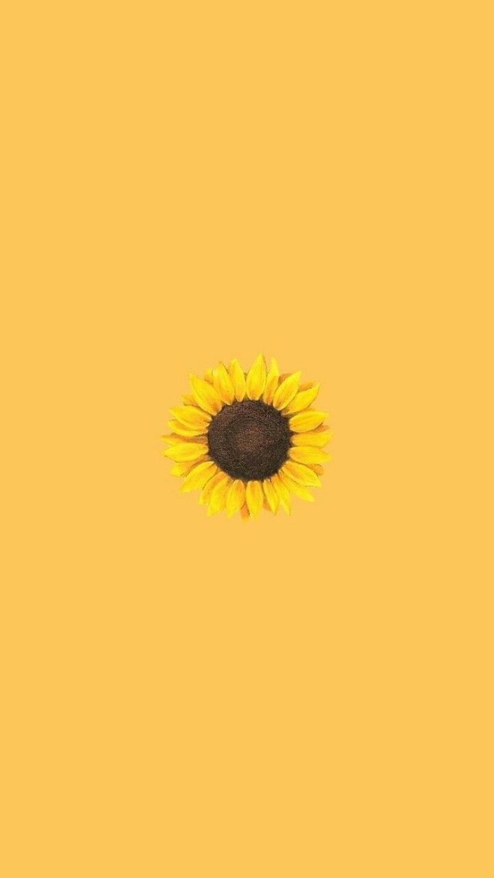 38 Sunflower iPhone Wallpapers to Download for Free - atinydreamer