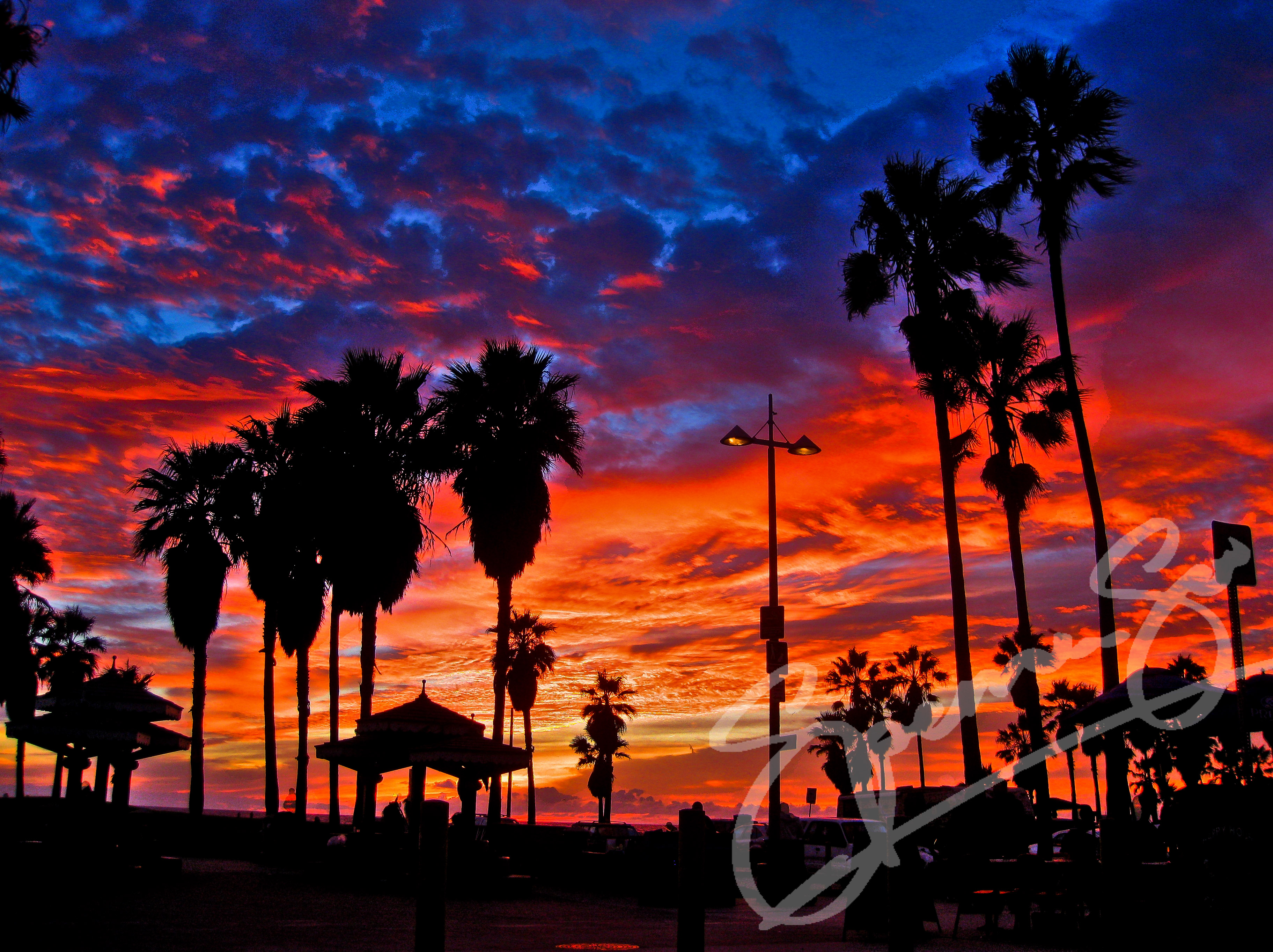 Best Venice Beach California HD Photo Galeries Wallpaper