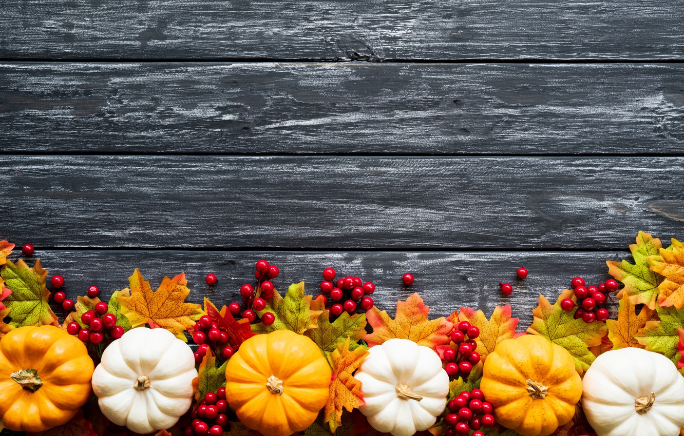 Wallpaper Autumn Leaves Background Board Colorful Pumpkin
