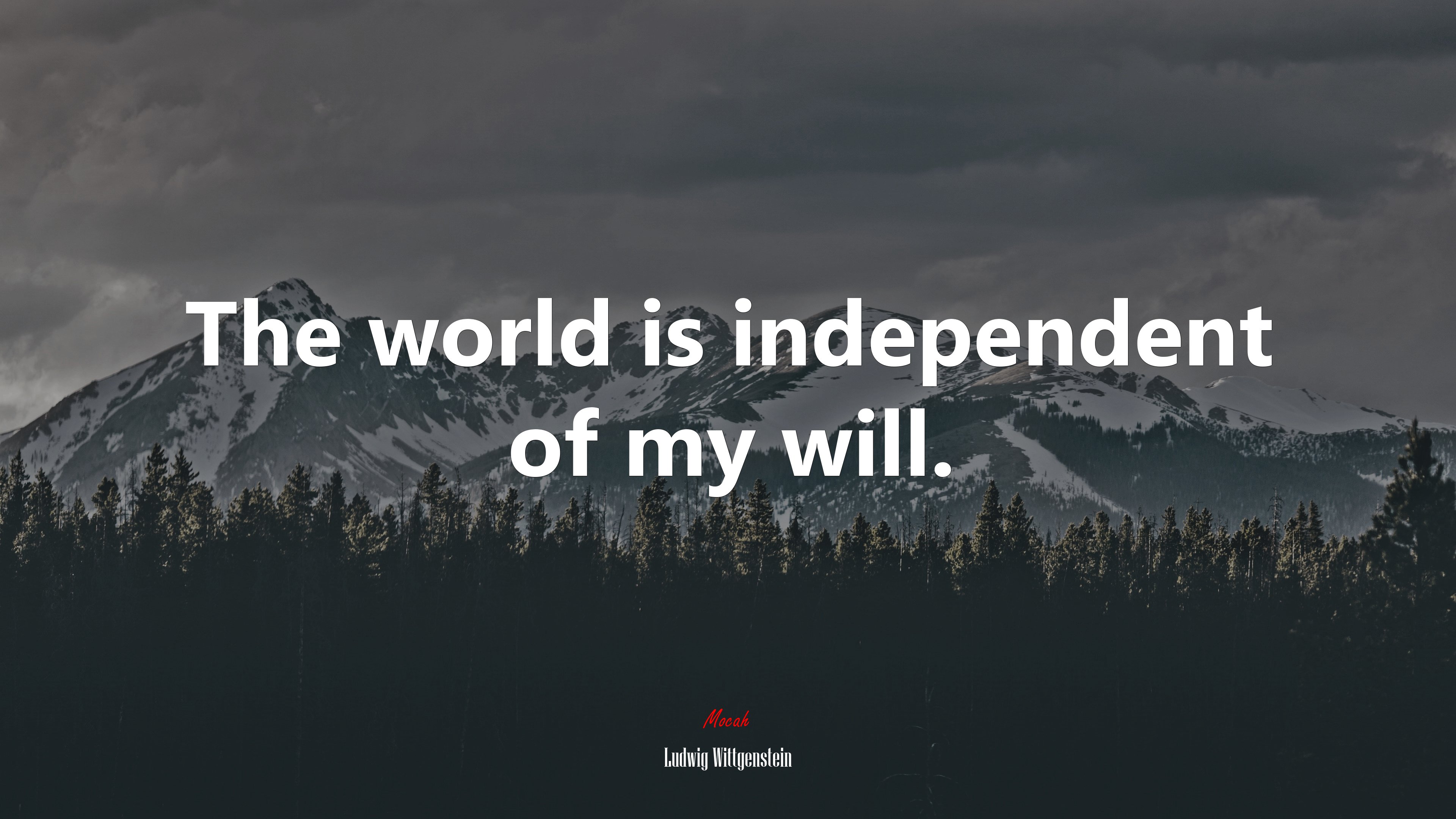 I Am My World Ludwig Wittgenstein Quote 4k Wallpaper