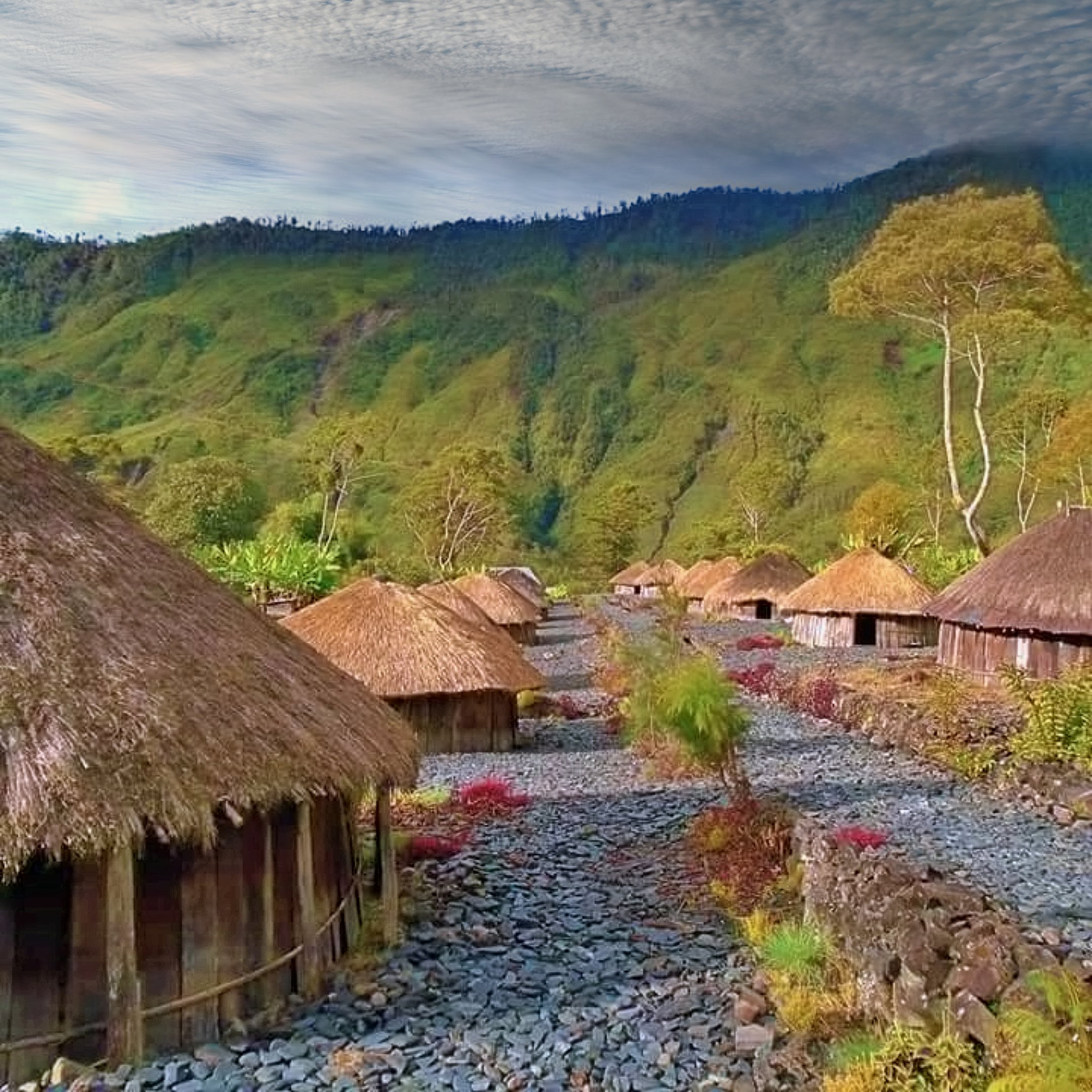 Background Papua Wallpaper