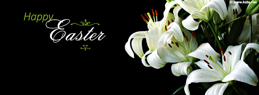 Easter Lily Wallpaper Happy Lilies