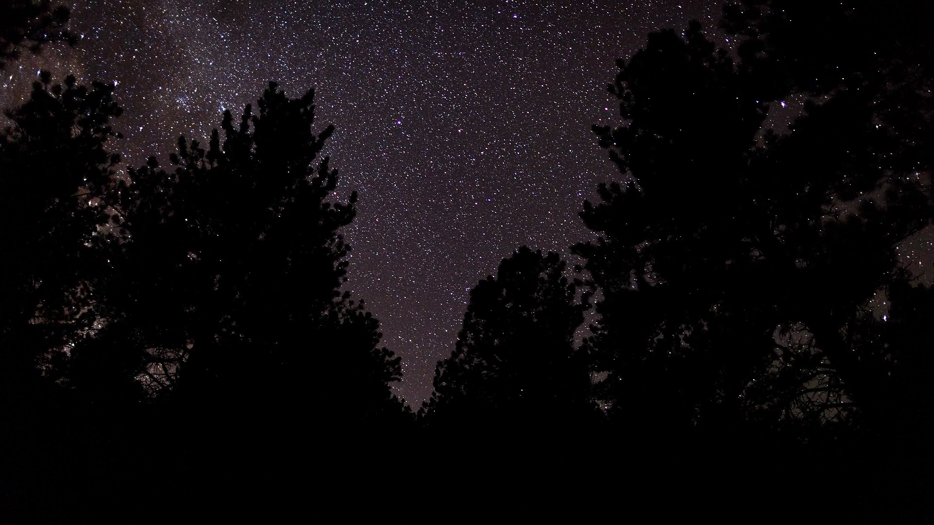 Trees And Wallpaper Starry Night Sky